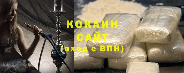 мдпв Инсар