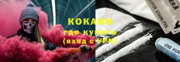 ешки Инта