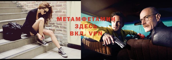 мдпв Инсар