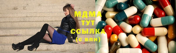 мдпв Инсар