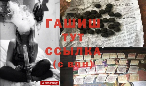 мдпв Инсар
