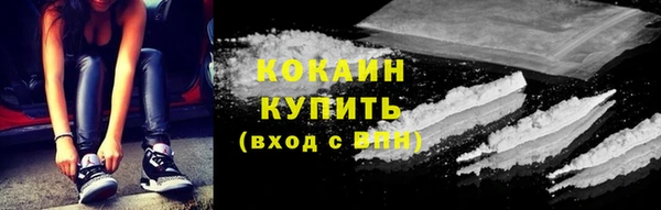 мдпв Инсар