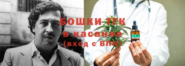 ешки Инта
