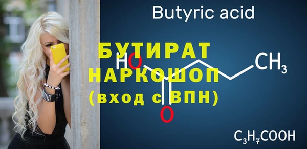 мдпв Инсар
