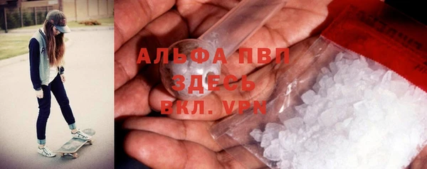 мдпв Инсар