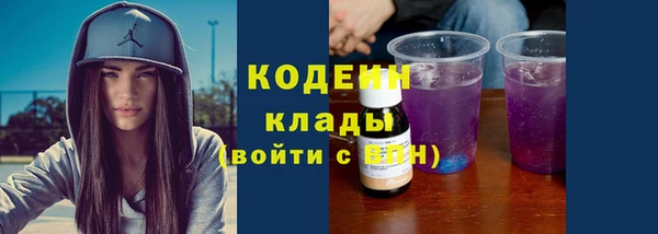 ешки Инта