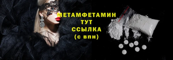 мдпв Инсар