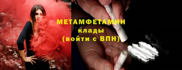 мдпв Инсар