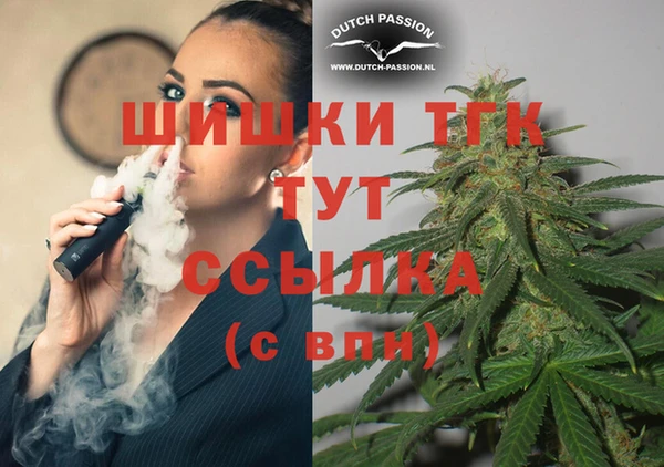 ешки Инта