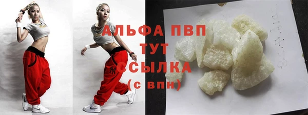 ешки Инта