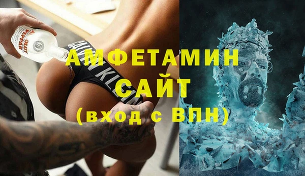 мдпв Инсар