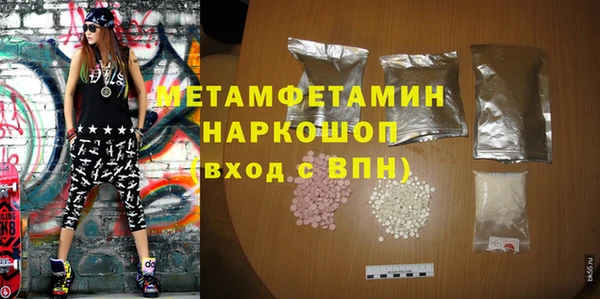 мдпв Инсар