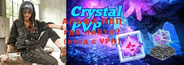 ешки Инта
