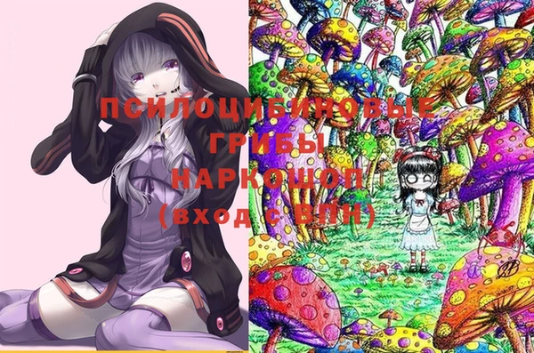 мдпв Инсар