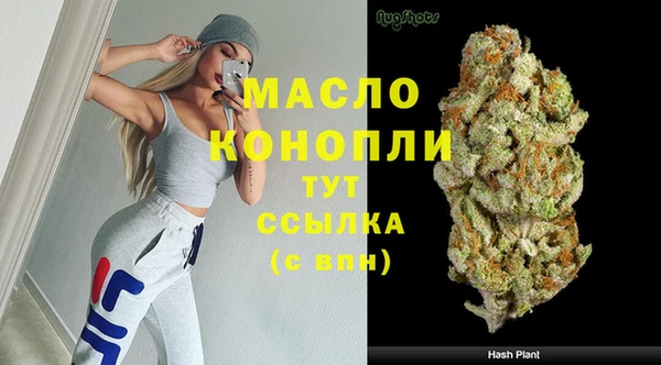 мдпв Инсар
