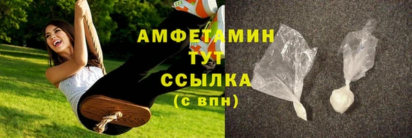 мдпв Инсар