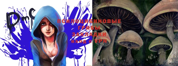 ешки Инта