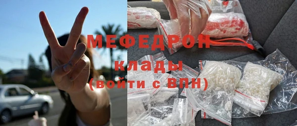 ешки Инта